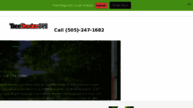 What Treedoctor911.com website looked like in 2018 (6 years ago)