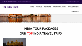 What Tripindiatravel.com website looked like in 2018 (6 years ago)