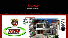 What Teson.co website looked like in 2018 (6 years ago)