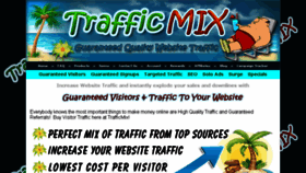 What Trafficmix.net website looked like in 2018 (6 years ago)
