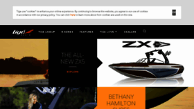 What Tige.com website looked like in 2018 (6 years ago)