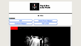 What Top2best.com website looked like in 2018 (6 years ago)