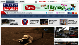 What Turkiyeajansi.com website looked like in 2018 (6 years ago)