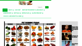 What Thedietsolutionprogramreviewsx.com website looked like in 2018 (6 years ago)