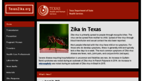 What Texaszika.org website looked like in 2018 (5 years ago)