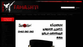 What Tamashyi.ro website looked like in 2018 (5 years ago)