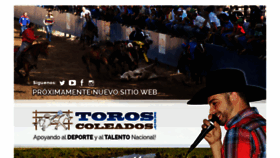 What Toroscoleados.com website looked like in 2018 (5 years ago)