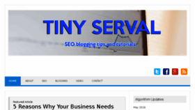 What Tinyserval.com website looked like in 2018 (5 years ago)