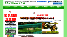 What Turtlekeeper.jp website looked like in 2018 (5 years ago)