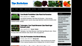 What Tipsberkebun.com website looked like in 2018 (5 years ago)