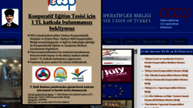 What Turkey.coop website looked like in 2018 (5 years ago)