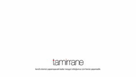 What Tamirrane.com website looked like in 2018 (5 years ago)