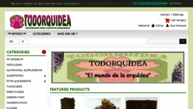 What Todorquidea.com website looked like in 2018 (5 years ago)