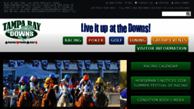 What Tampabaydowns.com website looked like in 2018 (5 years ago)