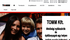 What Tomm.hu website looked like in 2018 (5 years ago)