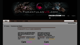 What Tarantulasus.com website looked like in 2018 (5 years ago)
