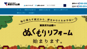 What Tgyn.co.jp website looked like in 2018 (5 years ago)