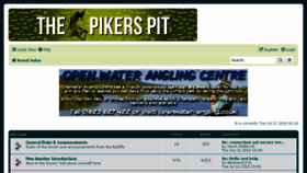 What The-pikers-pit.co.uk website looked like in 2018 (5 years ago)