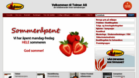 What Tolmer.no website looked like in 2018 (5 years ago)