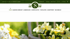 What Tcdeschouw.nl website looked like in 2018 (5 years ago)