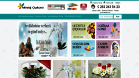 What Tekirdagcicekciniz.com website looked like in 2018 (5 years ago)