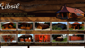 What Tibsil.ro website looked like in 2018 (6 years ago)