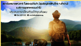What Thailandelephant.org website looked like in 2018 (5 years ago)