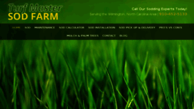 What Turfmastersodfarm.com website looked like in 2018 (5 years ago)