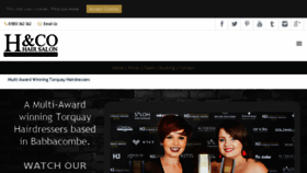 What Torquayhairdressers.co.uk website looked like in 2018 (5 years ago)