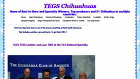What Tegschihuahua.com website looked like in 2018 (5 years ago)