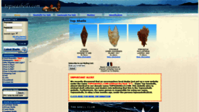 What Topseashells.com website looked like in 2018 (5 years ago)