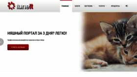 What Tune-it.ru website looked like in 2018 (5 years ago)