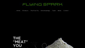 What Theflyingspark.com website looked like in 2018 (5 years ago)
