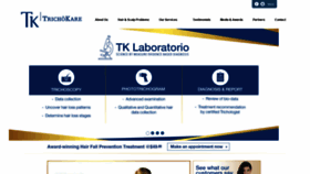 What Tk-hair.com website looked like in 2018 (5 years ago)