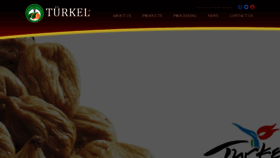 What Turkelapricot.com website looked like in 2018 (5 years ago)