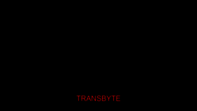 What Transbyte.org website looked like in 2018 (5 years ago)