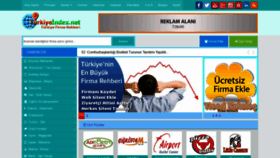 What Turkiyeindex.net website looked like in 2018 (5 years ago)