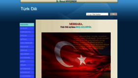 What Turkdili.gen.tr website looked like in 2018 (5 years ago)