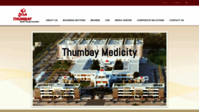 What Thumbay.com website looked like in 2018 (5 years ago)
