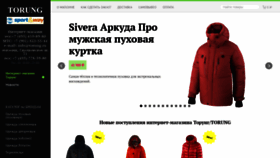 What Torung.ru website looked like in 2019 (5 years ago)