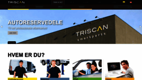 What Triscan.dk website looked like in 2019 (5 years ago)
