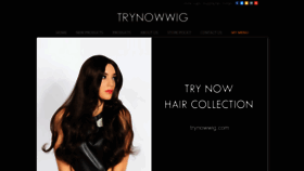 What Trynowwig.com website looked like in 2019 (5 years ago)