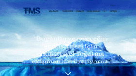 What Tmsgrup.com website looked like in 2019 (5 years ago)