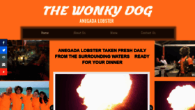 What Thewonkydog.com website looked like in 2019 (5 years ago)