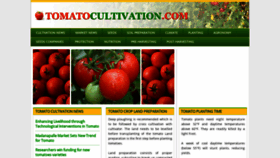 What Tomatocultivation.com website looked like in 2019 (5 years ago)