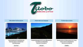 What Tilobo.com website looked like in 2019 (5 years ago)