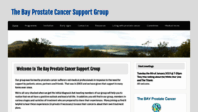 What Tbpcsg.org website looked like in 2019 (5 years ago)