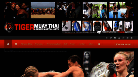 What Tigermuaythai.com website looked like in 2019 (5 years ago)