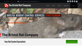 What Thebristolratcompany.co.uk website looked like in 2019 (5 years ago)