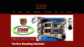 What Teson.co website looked like in 2019 (5 years ago)